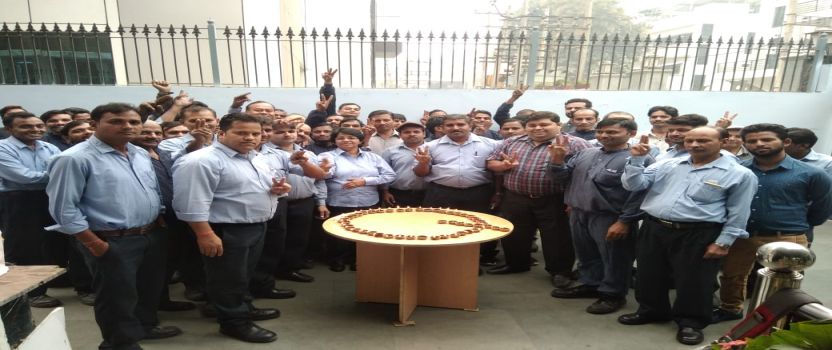 Employees Celebrating
