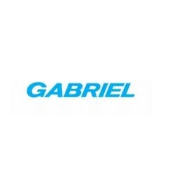 GABRIEL INDIA LTD.